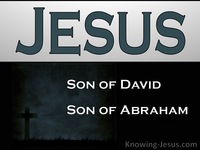 God’s Perfect Plan - Perfect MAN Eternal SON (21)